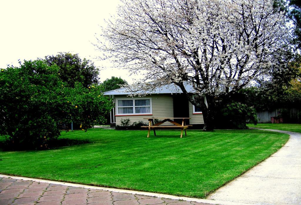 Tudor Lodge Motel Nelson Bagian luar foto
